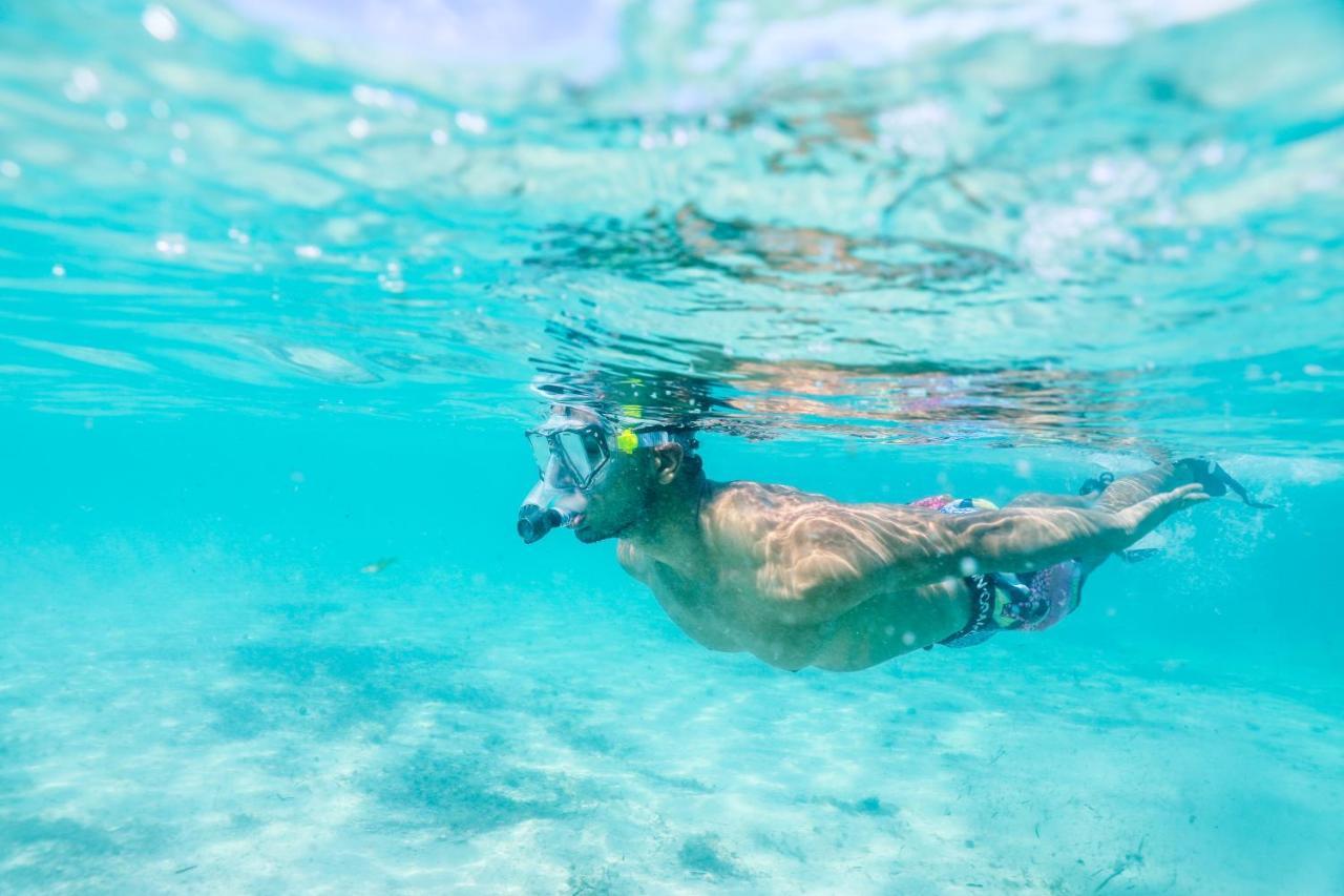 The Cove Eleuthera Gregory Town Eksteriør billede
